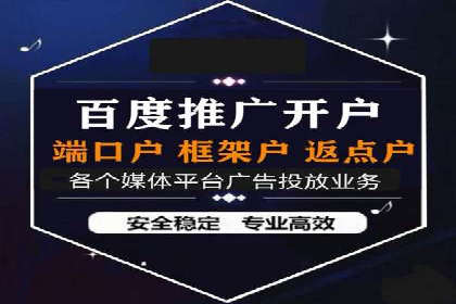 企业SEM服务实战案例解析